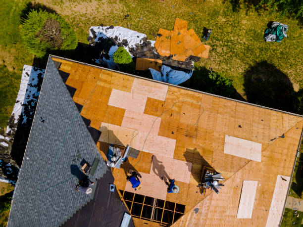 Best New Roof Installation  in St Louis Park, MN