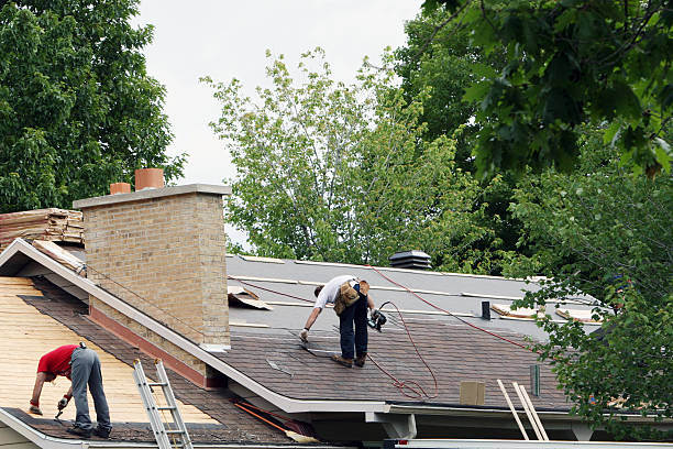 Professional Roofing Contractor in St Louis Park, MN